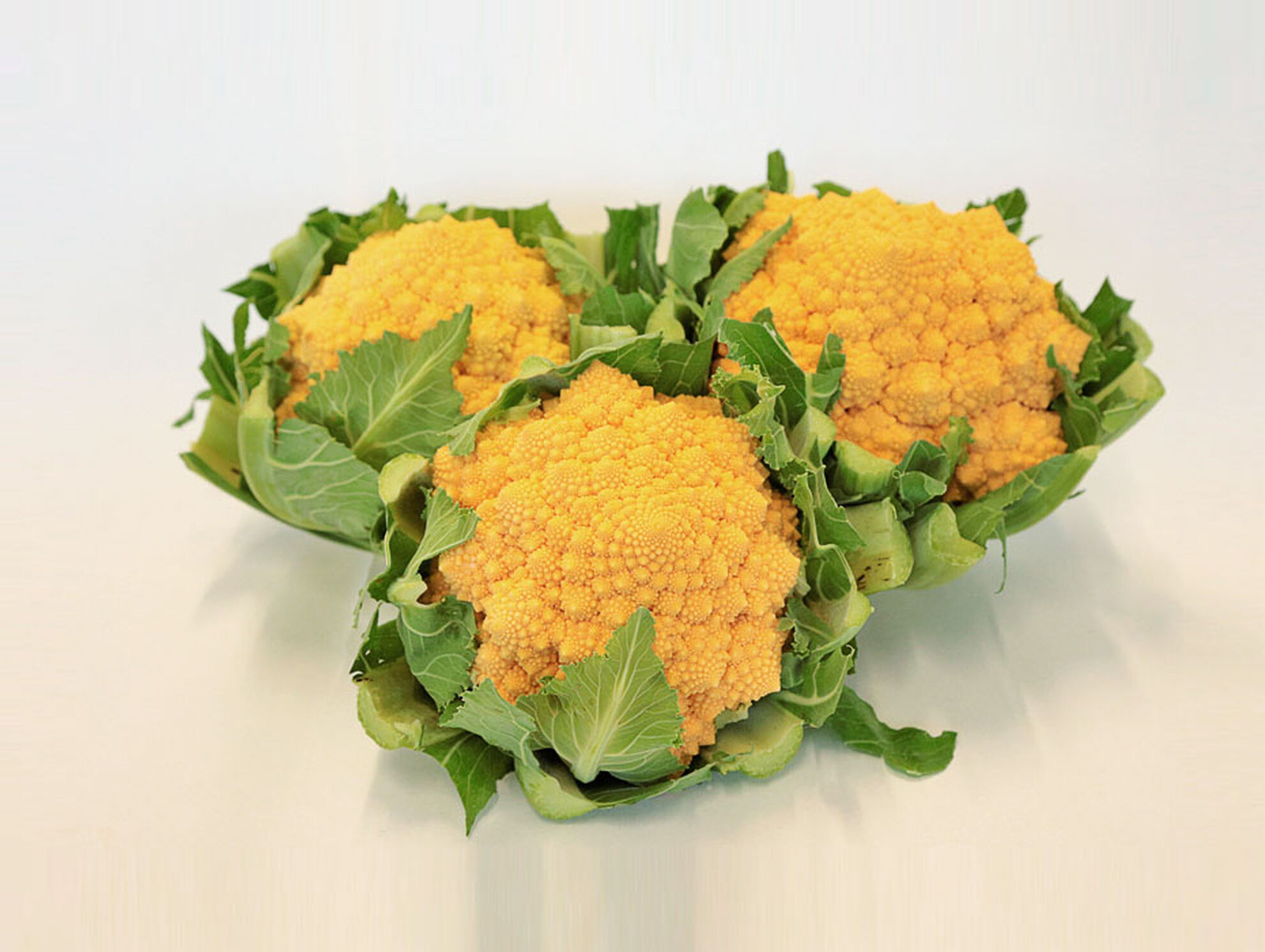 cavolfiore romanesco arancione